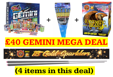£40 GEMINI MEGA DEAL 2025 (PRICE FOR ONE DEAL ONLY) - IN STORE ONLY