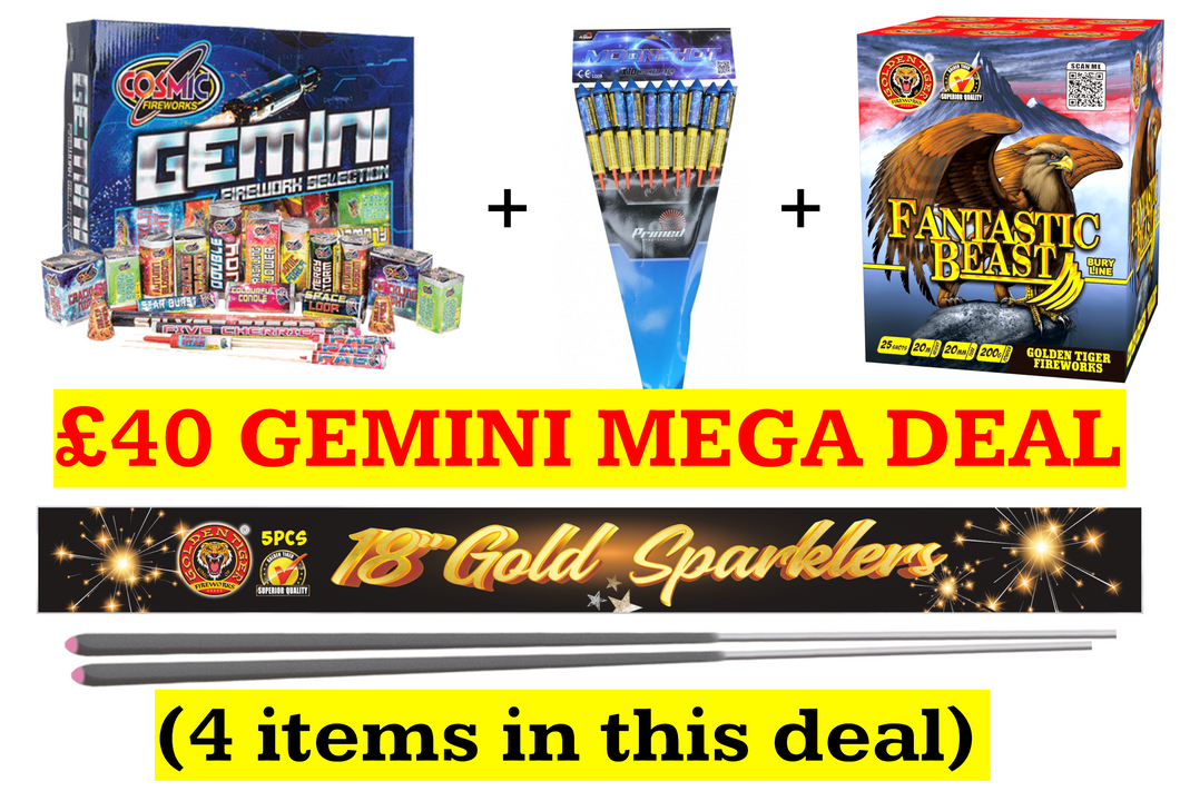 £40 GEMINI MEGA DEAL 2025 (PRICE FOR ONE DEAL ONLY) - IN STORE ONLY