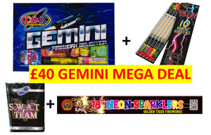 GEMINI BOX MEGA FAMILY DEAL 2024 (PRICE FOR ONE DEAL ONLY)