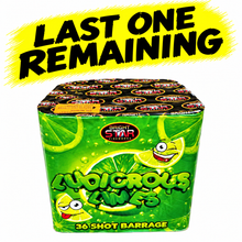 Ludicrous Limes - 36 shot 1.3G LOUD Display barrage (Price for 1 piece ONLY) PRE-ORDER ONLY