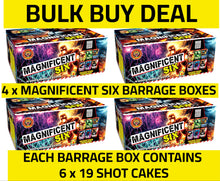 WHOLESALE - FULL CASE OF MAGNIFICENT SIX 1.3G BARRAGE BOXES BULK BUY (4 boxes x £35.00 each including VAT) - IN STORE ONLY